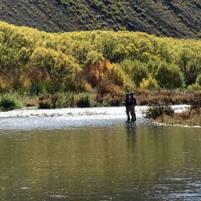 Fly fishing with clients